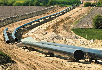Экологические изыскания для газопровода